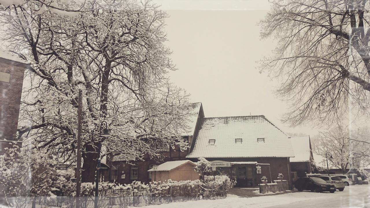 Zum Landhaus Dannenbuettel Sassenburg Εξωτερικό φωτογραφία